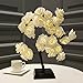 Bolylight Light Up Rose Tree 32 LED Night Light Rose Lamp Artificial Tabletop Tree for Home Decoration Wedding Christmas Warm White