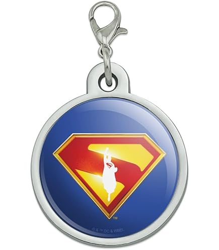 Amazon.com: GRAPHICS & MORE Superman Classic S Shield Logo