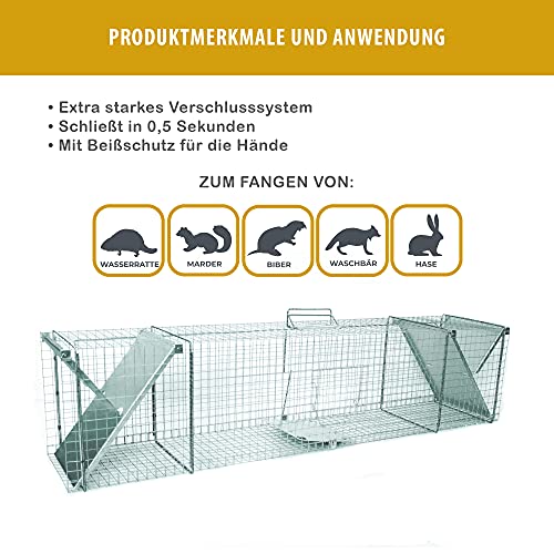 Holtaz Fallen Basic 150x29x31 cm 2 Türen Marderfalle Katzenfalle Fuchsfalle Biberfalle Tierfalle Waschbärfalle… – Bild 3