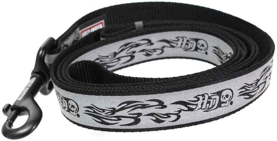 Which Is The Best Ladder Davidson 6 Ft