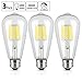 OMAYKEY 10W 5000K LED Edison Bulb (100W Equivalent) Daylight White Glow 1000 Lumens, E26 Base Vintage Edison ST64 Clear Glass LED Filament Light Bulbs, Non-dimmable, Pack of 3