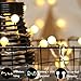 myCozyLite LED Globe String Lights, Battery and USB Operated, 50 LED, Decorative Warm White String Lights for Wedding Party, Holiday, Patio, Garden, Room, Remote Control