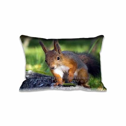Amazon Com 16 X 24 Pillow Protector Squirrel Pillowcase Pillow