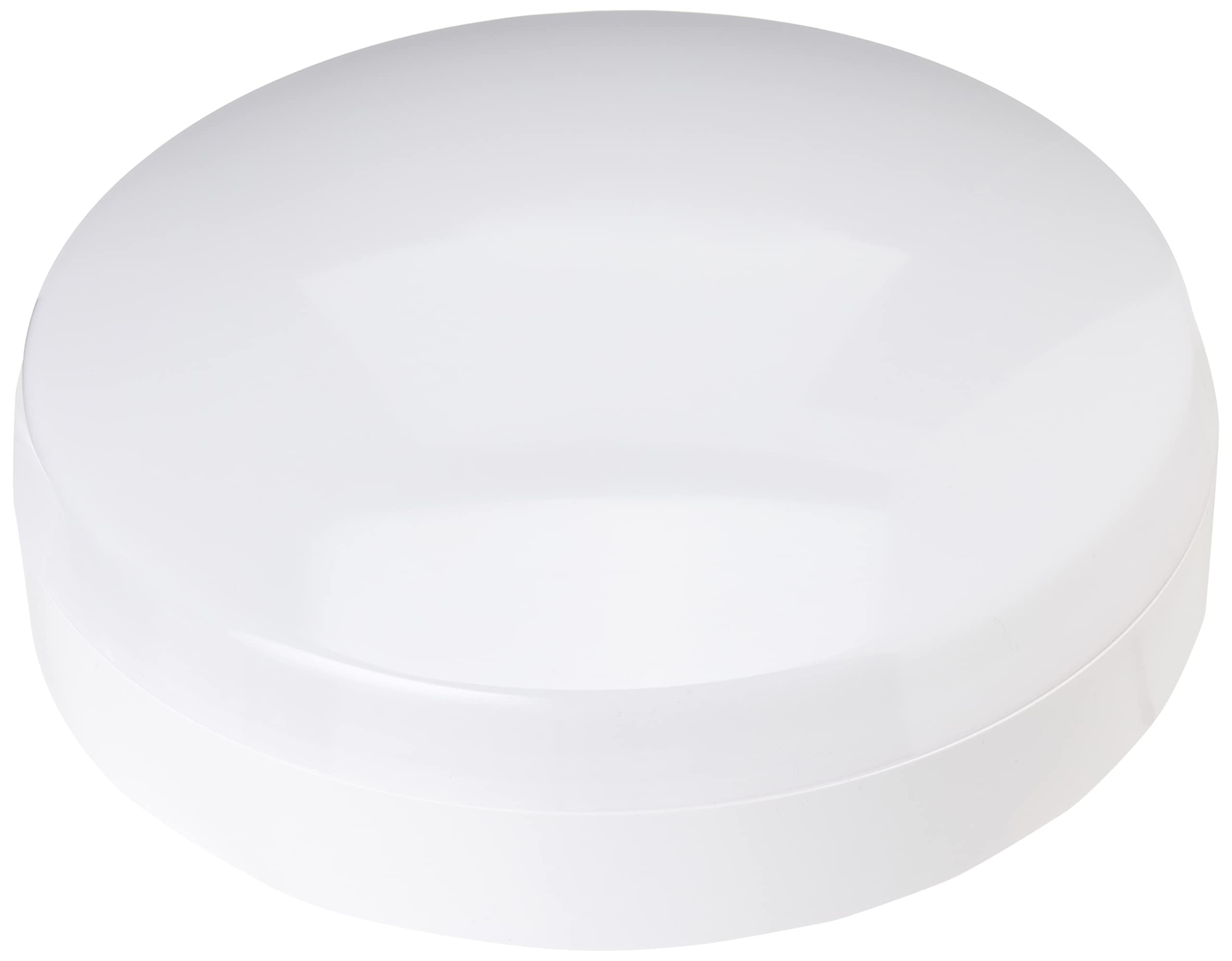Fbright LED Ceiling Light, White