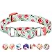 Blueberry Pet Spring Scent Inspired Rose Print Martingale Safety Training Dog Collar, Turquoise, Medium, Heavy Duty Adjustable Collars for Dogs