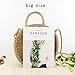 Women Straw Summer Beach Bag Handwoven Round Rattan Bag Cross Body Bag Shoulder Messenger Satchel (khaki)