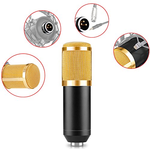 Neewer NW-800 Professional Studio Broadcasting & Recording Condenser Microphone Set Including: (1)NW-800 Condenser Microphone + (1)Ball-type Anti-wind Foam Cap + (1)Microphone Audio Cable (Black)