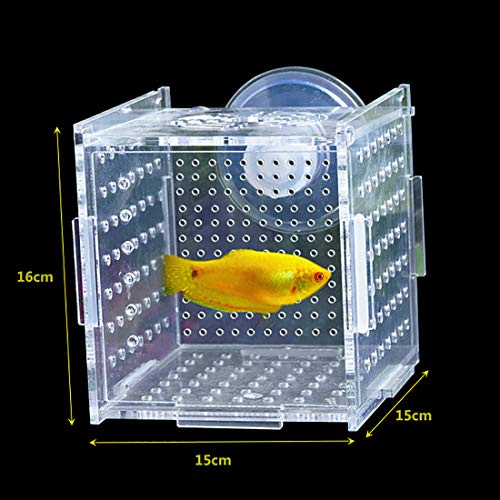 1 Multifunctional+Breeding+Isolation+Separation+Grid%25EF%25BC%258C151516cm%25EF%25BC%2589