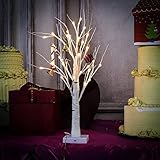 Lighted Birch Tree, Warm White, YUNLIGHTS 2ft 30LEDs 8 Modes Desk Top Bonsai Birch Tree with White Branches for New Year Home Party Wedding Indoor Outdoor