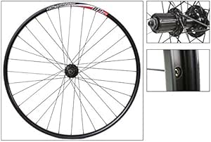 alex rims dp20 29er