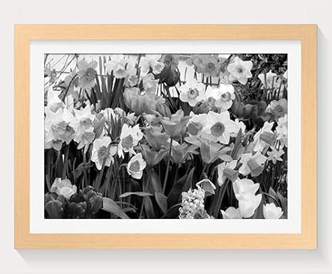 Amazon Co Jp フラワーガーデン フラワー 木製フォトフレーム 写真フレーム 木製 の枠 装飾画 壁掛け 壁飾り 壁ポスター 木製タグ おしゃれ ウォールアート アートパネル 壁の絵 インテリア絵画 額縁 部屋飾り 贈り物 プレゼント 黒と白 横 40 60cm ホーム