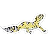 funko pop ricardo milos amazon