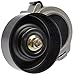 Dorman 419-211 Accessory Drive Belt Tensioner Assembly Compatible with Select Ford Models