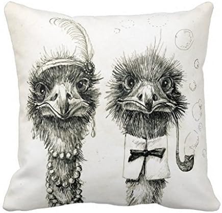 Mr And Mrs Ostrich R78ba0798ac9048748a97f9f453f95dbf I5fqz 8byvr Pillow Case 18" * 18"