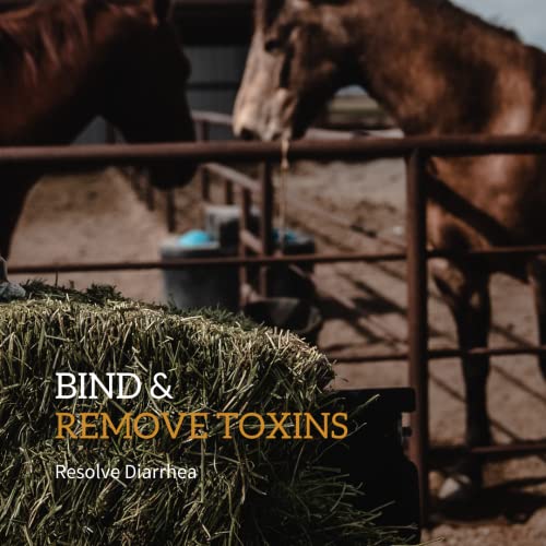 Daily Gold Stress Relief Natural Digestive and Ulcer Supplement for