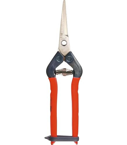 Amazon.com : CHIKAMASA T-55C Professional Gardening Shears