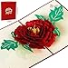 Paper Spiritz Peony Pop up Cards Birthday, Mothers Day Cards, 3D Popup Greeting Cards for Valentines Day, Handmade Graduation Sympathy Blank Card, Laser Cut with Envelopes all Occasion (2025_FBA)