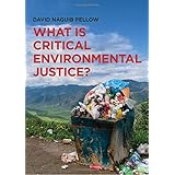 What is Critical Environmental Justice?