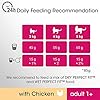 Perfect-Fit-Adult-1-Complete-Dry-Food-for-Adult-Cats-from-1-Year-Old-Rich-in-Chicken-1-pack-of-7kg Perfect Fit Adult 1+ - Complete dry food for adult cats, rich in chicken, suitable for adult cats aged 1+, (1 x 7 kg)