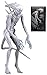 NECA Alien Covenant White Neomorph Alien 7