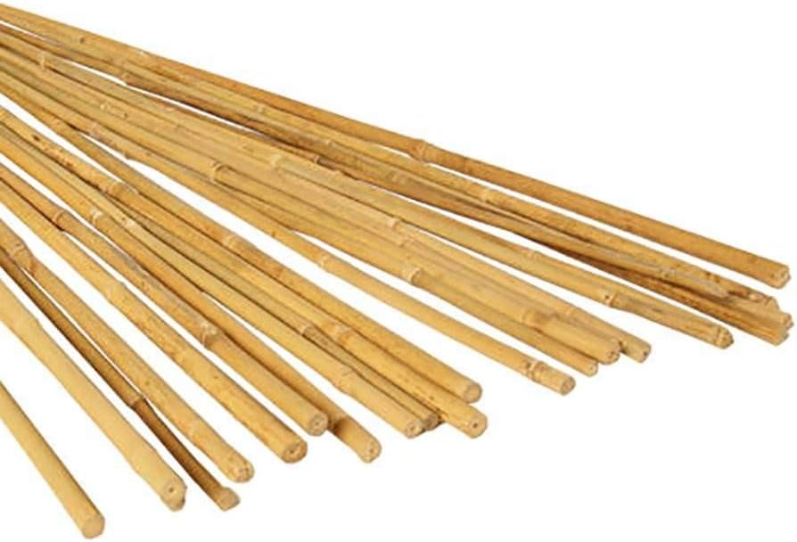 Hydrofarm HGBB4 4' Natural, Pack of 25 Bamboo Stake, 4 foot, Tan : Garden Stakes : Garden & Outdoor