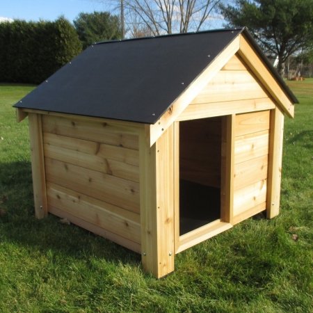 cheap dog houses for outside