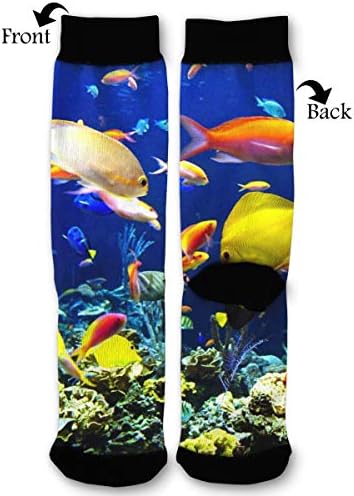 Women's Men's Fun Novelty Crazy Crew Socks Underwater Ocean Sea Tropical Fish Dress Socks