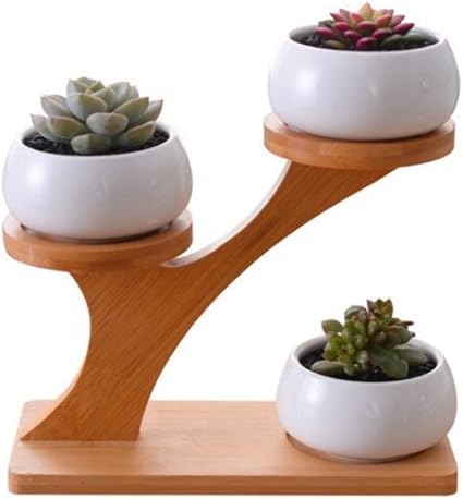 macetas decorativas pequenas y modernas