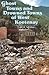 Ghost Towns and Drowned Towns of West Kootenay by 