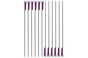 12 Pcs 30Inch Archery Flu Flu Arrow 400 Spine Carbon Arrow Target Practice Arrow with 4 Pcs Feather