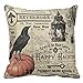Gotd BIRD ON Pumpkin Halloween Pillows Cover Decorations Decor Halloween Throw Pillow Case Sofa Waist Throw Cushion Cover Home Decor Square 45 x 45cm 18 x 18inch (Beige)