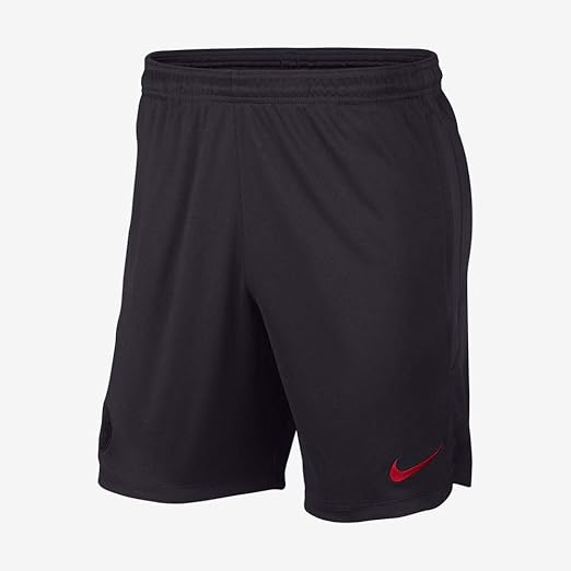 high waisted fringe shorts