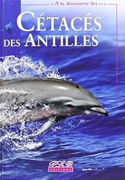 Cétacés des Antilles
