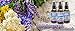 WishGarden Herbs - Kick-Ass Sinus, Organic Herbal Sinus Relief, Supports Healthy Mucus & Sinus Function (2oz Pump)