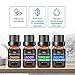 MADETEC 10ML Diffuser Oils Essential Oils Cinnamon 100% Pure and Natural Oils for Aromatherapy Diffuser Humidifiers