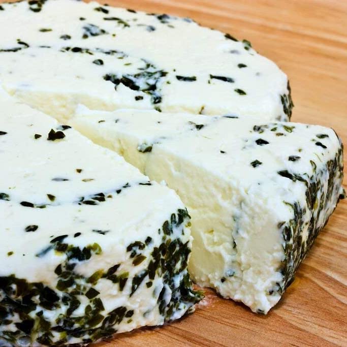 Cultures for Health Mesophilic Cheese Starter Culture Cream Cheese