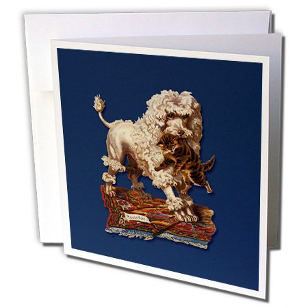 3dRose gc_170697_2 6 x 6-Inch "White French Poodle Carrying a Tiger Striped Kitten in Its Mouth" Greeting Card (Set of 12)