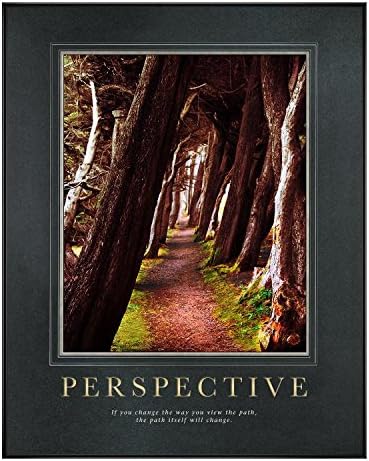 25 In. black Aluminum Frame, Gunmetal Mats with Foil Stamping - Perspective Wooded Path Motivational Poster