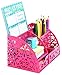 EasyPAG Office Desk Accessories Organizer 5 Compartments with Drawer,Pink
