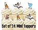 24 Mini Cupcake Toppers Aladdin Birthday Party Cake Decorations