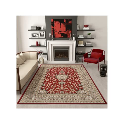 AS Quality Traditional Large Area Rug for Living Room, Easy Cleanining