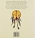 Buckskin and Buffalo: The Artistry of the Plains Indians