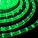 WYZworks 288LEDs, 25ft LED Green Outside Rope Light, Connectable Outdoor ETL Certified Permanent Waterproof Accent Exterior Lighting, Flexible Clear PVC Shell, Holiday, Backyard Patio Palm Tree