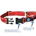 Max and Neo Nylon Martingale Collar - We Donate to a Dog Rescue for Every Collar Sold (Small, Pink)