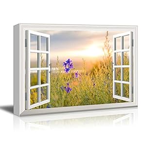 Window Close Up to Grass with a Lone Purple Flower