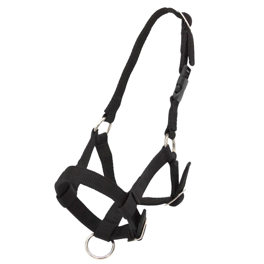 PFIFF 103101 Alpaca Halter "Pako", Adjustable Size for Alpacas, with Clip Closure, Black