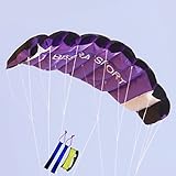 Besra Huge 74inch Dual Line Parachute Stunt Kite with Flying Tools 1.9m Power Parafoil Kitesurfing Training Kites Outdoor Fun Sports for Beach (74inch Purple)