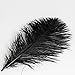 Bseash Natural Ostrich Feathers Bulk 12-14 inches (30-35cm) for Wedding Party Centerpieces, Flower Arrangement and Home Decoration (Black 50pcs)