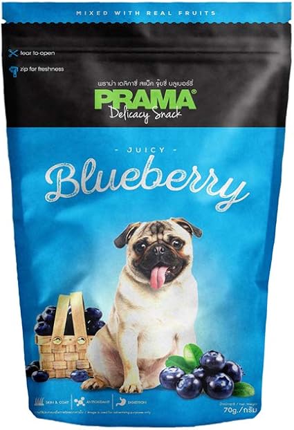 long island boston terrier