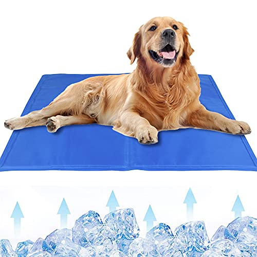 self cooling dog bed